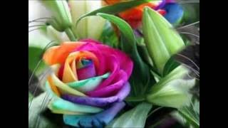 flores mas mundo raras del las