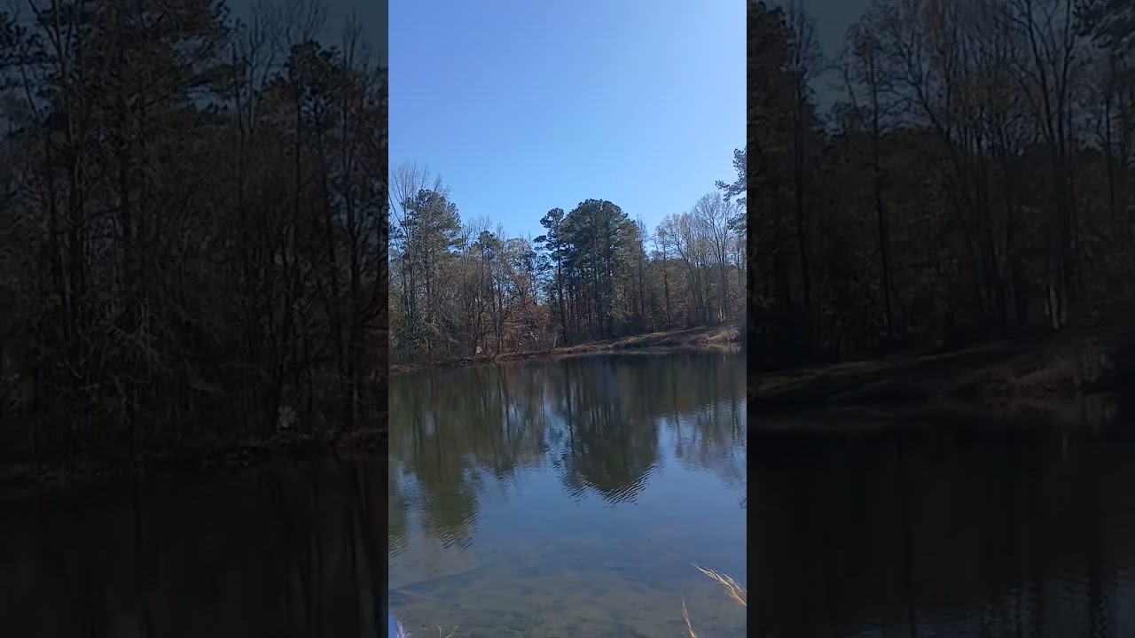 Пешеходная прогулка вдоль озера