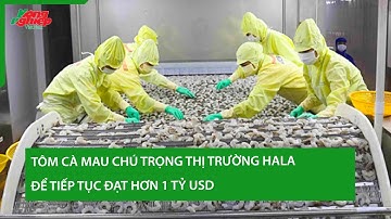Tôm Cà Mau chú trọng thị trường Hala để tiếp tục đạt hơn 1 tỷ USD