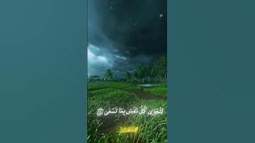 وانا اخترتك فاستمع لما يوحى بصوت الشيخ محمد اللحيدان#قرآن #قران_كريم #محمد_اللحيدان #سورة_طه #المصحف
