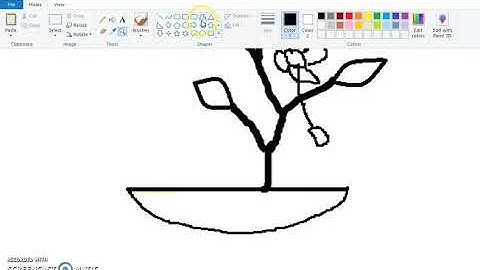 MS-PAINT Use of TOOLS Group and SHAPES Group