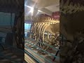 Blue wheal bones Islamabad museum