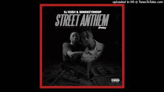 Dj Kush Ft Sunkey Snoop - Street_Anthem Doko