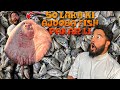 50 LAKH KI AJOOBA FISH PAKAR LI 😱 | SYED FAHAD | THE FUN FIN