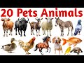 20 पालतू जानवरों के नाम | Learn 20 Pets Animals Names in English with Pictures for Kids