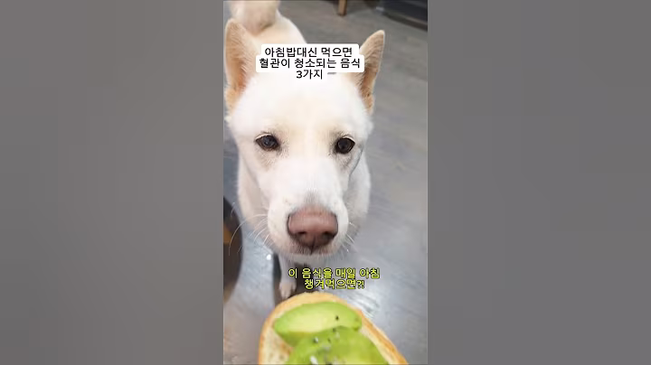 아침밥대신 먹으면 혈관이 깨끗해지는 음식3가지 출처@생생정보tv #건강정보 #건강 #애견영상 #강아지 #럭키또리네 #진돗개 #shorts #pets #cute #dog