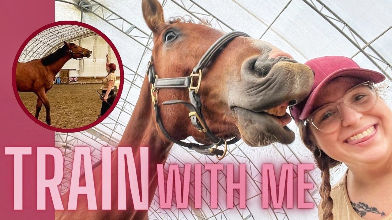 TROLLS AND TRAINING: Hate Comments, Being Cringe, and a Return to +R // Kaitehh Equestrian