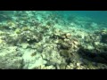 Cairns - Queensland - YouTube