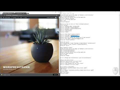 Installera WordPress i