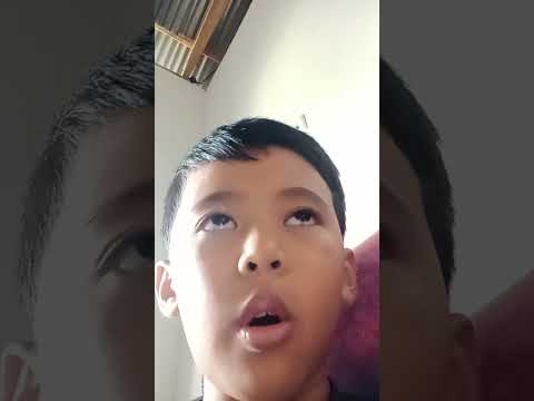 pantun