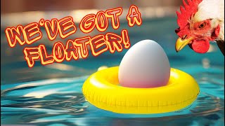Don't Eat That Egg Until You Watch This | Float Test & Candling Guide Trying The Float Test Checking For Life Eggs 24 Hours Overdue