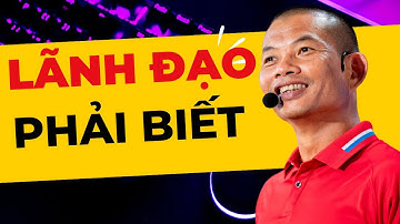 Năng lực lãnh đạo của bạn sẽ được nâng tầm qua 4 cấp độ này  | Phạm Thành Long