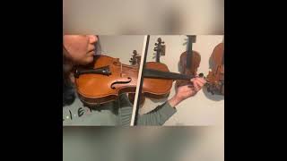 Antique Late 19th Century Violin 4/4 Beautiful Back and Ribs Sound Sample
