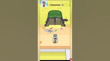 Hide and Seek Cat Escape Gameplay level 37 #shorts #gaming #hideandseek #hideandseekcatescape