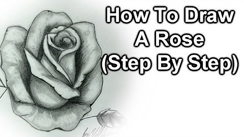 How To Draw A Rose Step By Step
