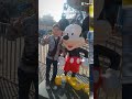 الغابه ليها بابا