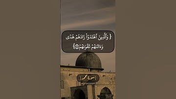 سورة محمد الآية ١٦ الى ١٨ بصوت الشيخ محمد صديق المنشاوي