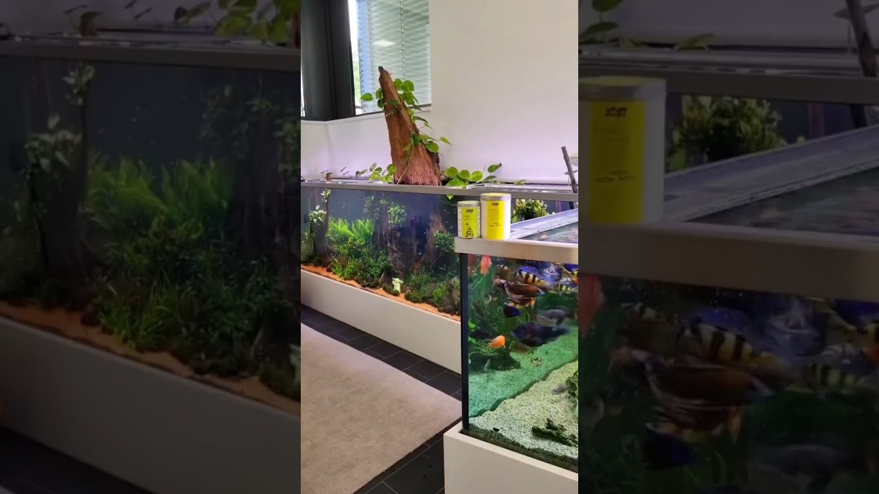 5000 liter planted tank 