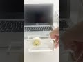 Acrylic Desk Organization Ideas