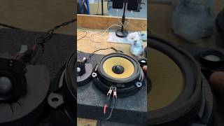 Berlin car midbass woofer