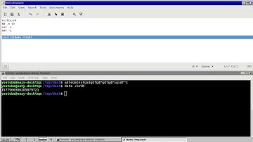 dash shell scripting tutorial 2 - using variables