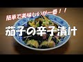 【超簡単】茄子の辛子漬け『箸休めに　ビールのおつまみに最高！！』