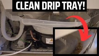 How to Clean Fridge Freezer Drip Tray (When You Can't Remove)