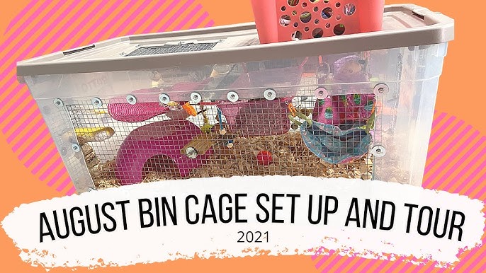 Mouse Cages From Scratch! · An Aquarium Tank · Construction, Woodwork, and  No-Sew on Cut Out + Keep