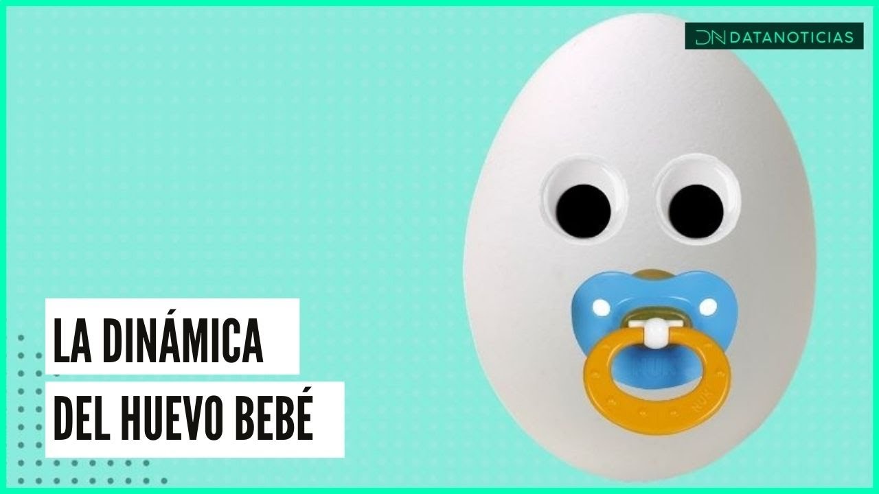 La dinámica del huevo bebé no es un entrenamiento para padres - YouTube