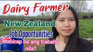 DAIRY FARMER SA NEW ZEALAND | MAHIRAP BA ANG TRABAHO NILA