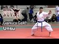 Gianluca gallo  kata unsu  final 22  lazio qualification for italian karate championships 2014