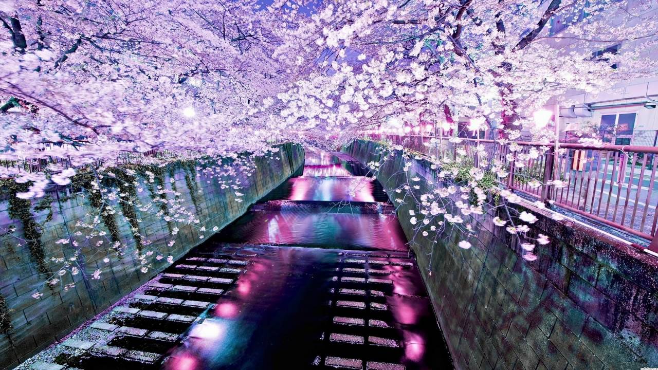 Cake pop - Rearranged ~(Leafy Rant Song)~