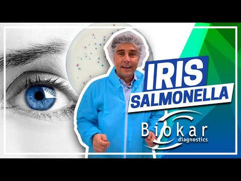 Vidéo: Eukanuba, Iams Rappelé Pour Contamination Par Salmonella