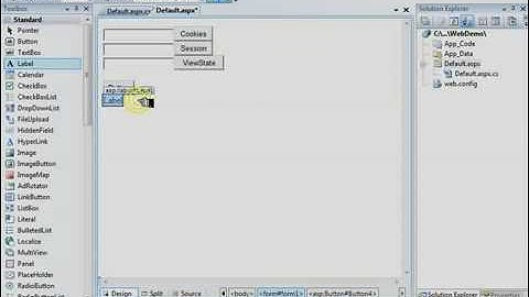 Visual Studio 2008 Cookie, Session, and ViewState State Tutorial