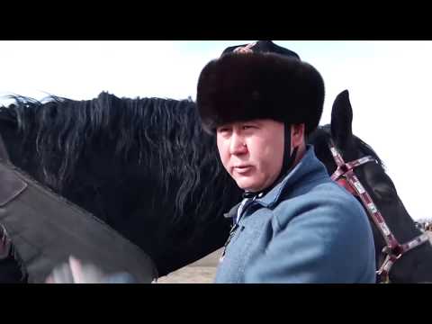 Саясаттан тышкары: Депутат К.Зулушев ат үстүндө оюн көргөздү