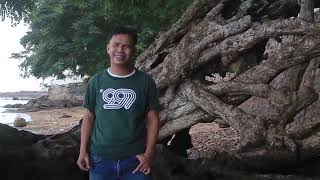 Kita Terpaksa Bermusuhan Cover By Said Mukhlis