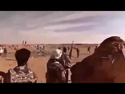 عيش الجيش المصري والاتحادالقبائل في مكافحه الارهاب في سيناءموعدنافي جلبانه مع تحياتي للجيش المصري