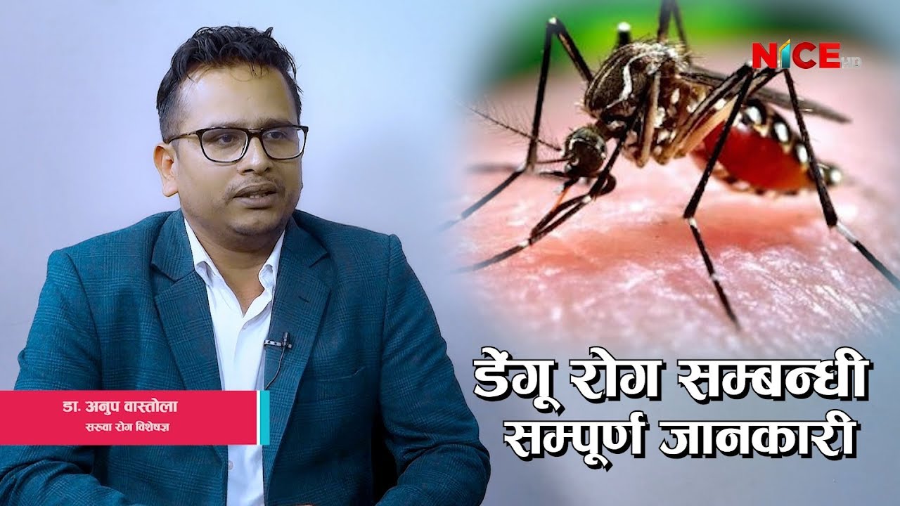 डेंगू रोगबाट कसरी बच्ने ? डेंगू रोग सम्बन्धी सम्पूर्ण जानकारी || Dengue Fever In Nepal