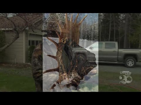 Video: Hvordan Man Forvirrer Nogen Fra New Hampshire