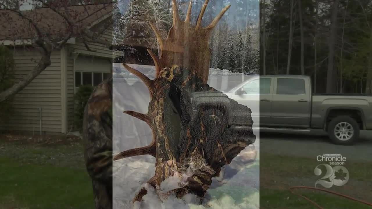 New Hampshire Chronicle: Harvesting and traveling with the White Mountain Forager