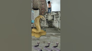 snake video saamp Funny nagin vfx video #shorts #youtube