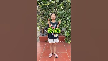 Thử Troll Anh Trai Ăn Dưa Chuột Kẹp Ớt #shorts