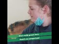Meet Jill, head of a riding centre with a focus on mental health and wellbeing in Ireland.