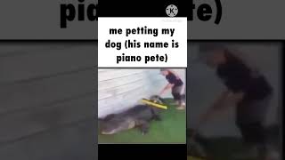 piano pete😢 #memes #gif