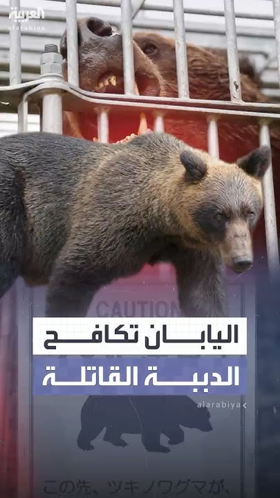     13..      
 - نشر قبل 12 دقيقة