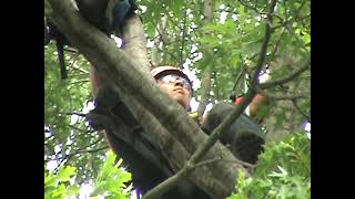Jared Abrojena work climb 2008 ITCC