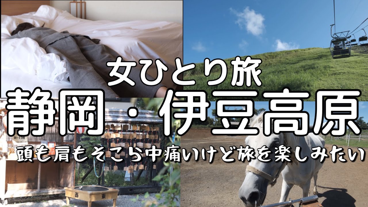 【女ひとり旅】いきなり電車間違える独身30代、仕事のストレスは動物と自然が癒してくれるのか【静岡・伊豆高原】