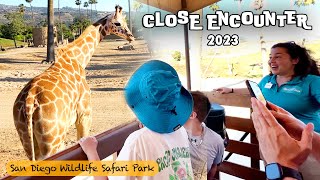 🦒 Face to Face with Giraffes ✨ Close Encounter at San Diego Wildlife Safari Park, #2023 📸 California