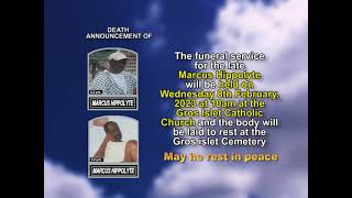 Marcus Hippolyte short