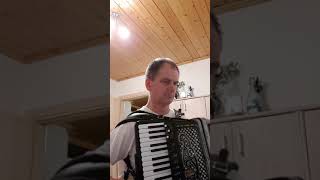 Video thumbnail of "Toma Zdravkovic Dotako sam dno zivota Harmonika"